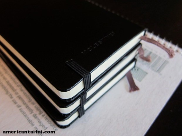 Moleskine 2 att